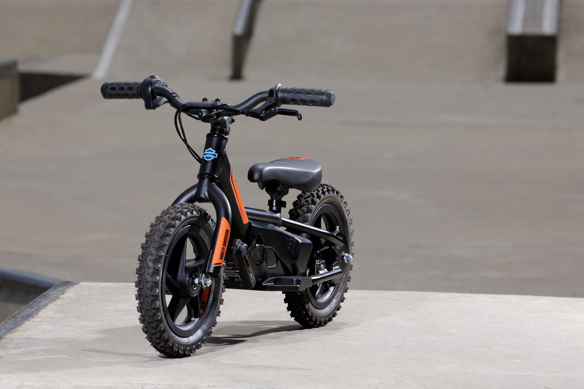 Iron sale e bike