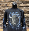 Shop Harley-Davidson-Z&M Harley-Davidson