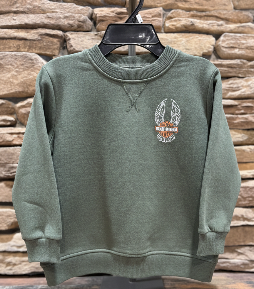 H-D Boys Green Pullover