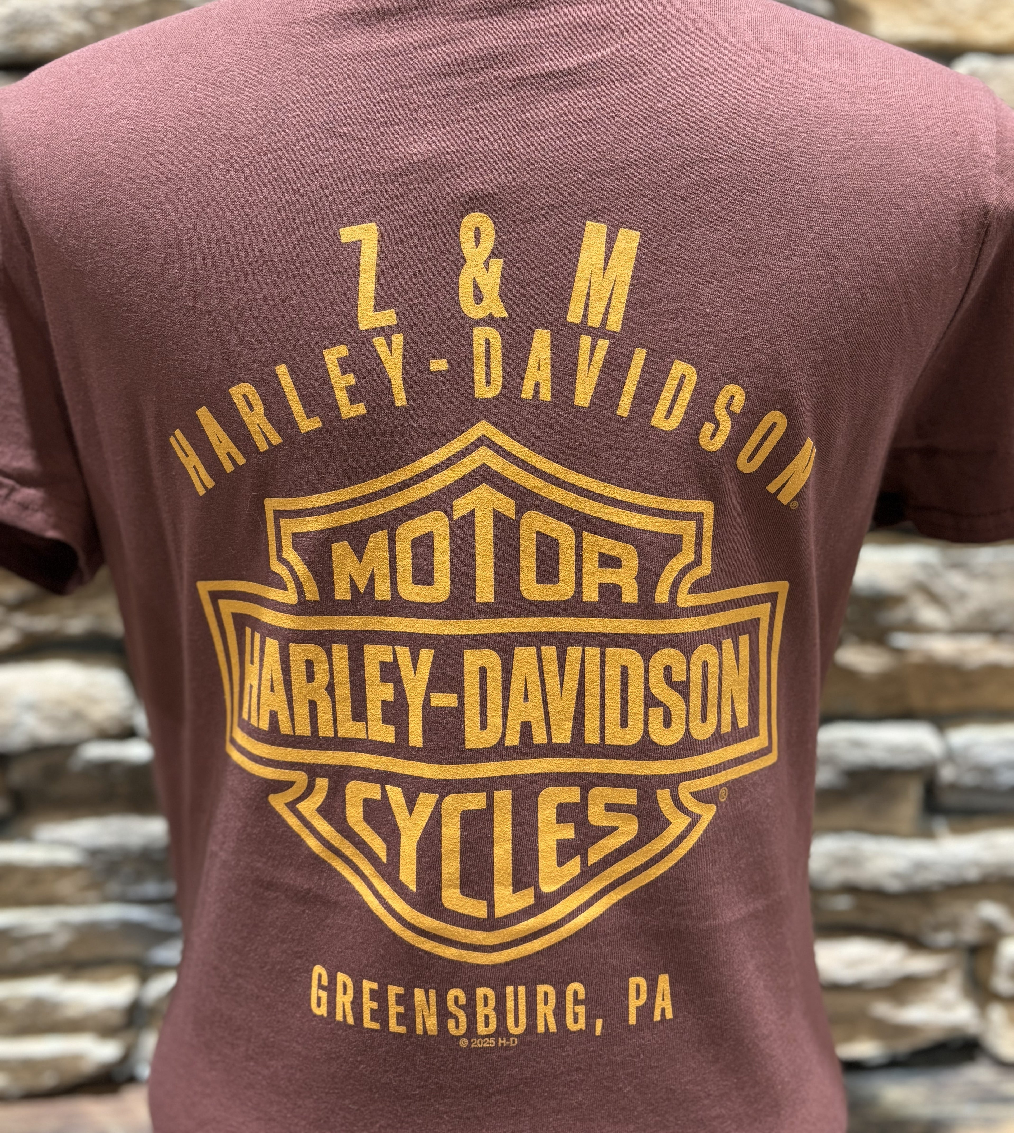 Women's H-D Dark Flame V-Neck