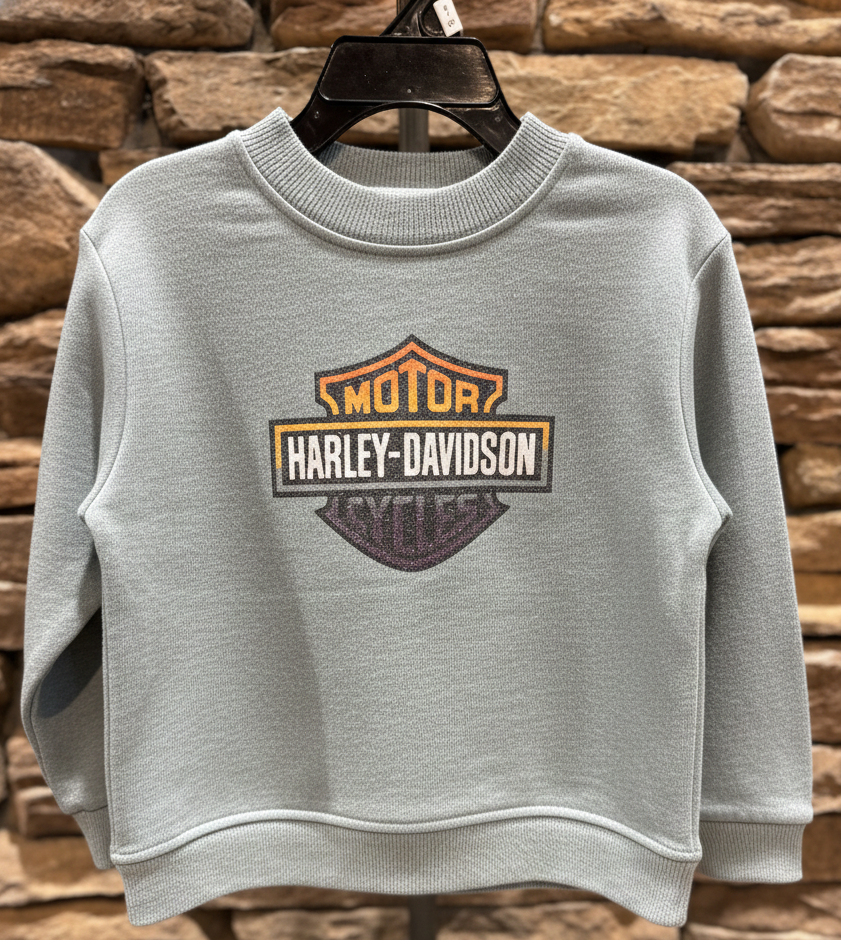 H-D Girls Gray Mist Pullover