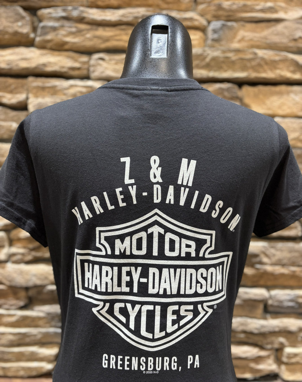 Women's H-D Pinstripe V-Neck