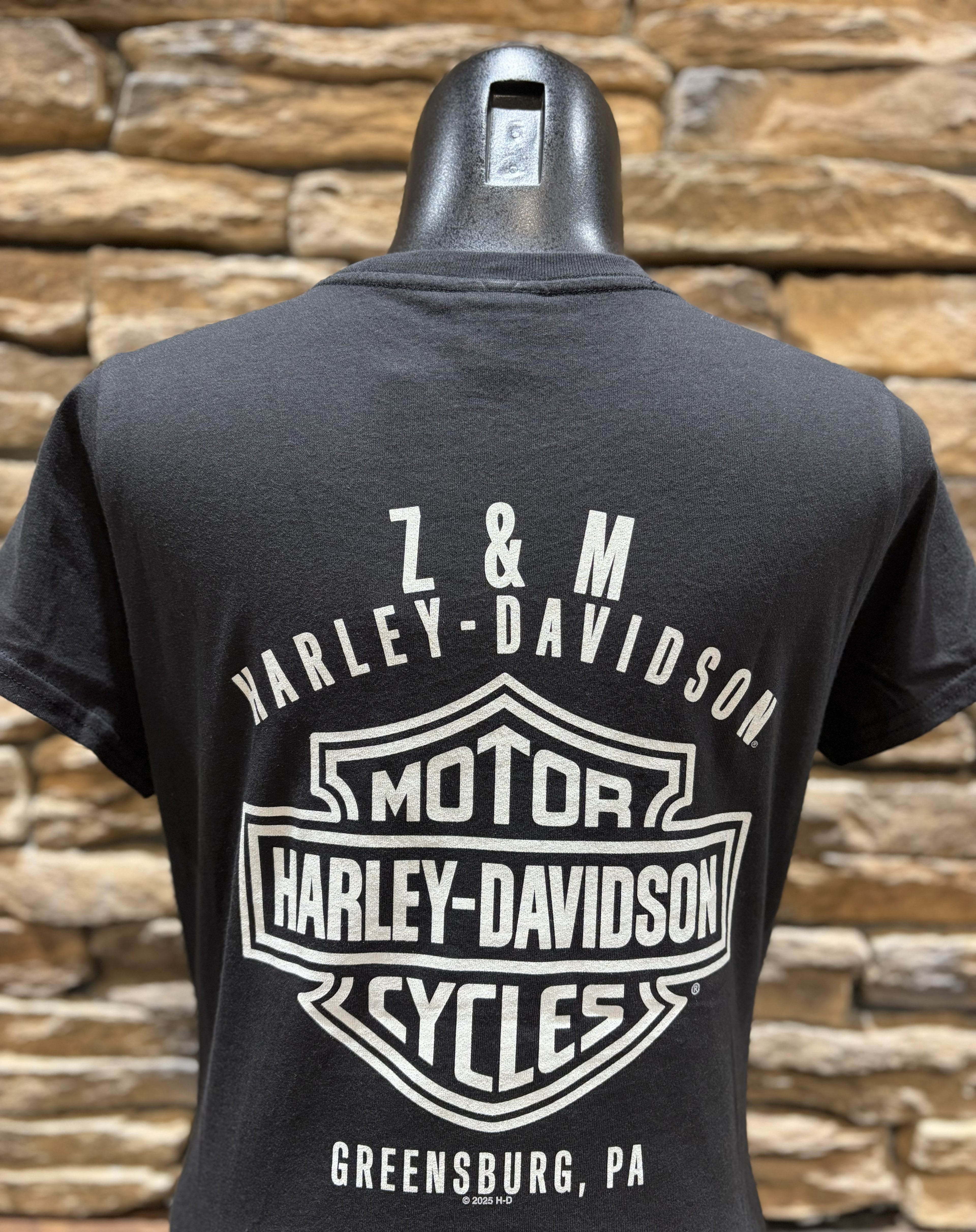 Women's H-D Pinstripe V-Neck